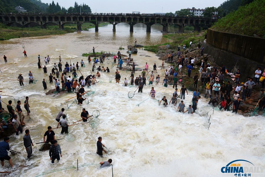 浙江衢州：泄洪口的“捞鱼大赛”