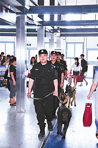 北京市12条“搜油警犬”首次上岗地铁 专门搜索汽油等违禁物