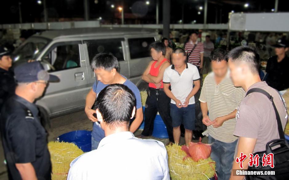 广州警方缴获20吨“毒豆芽” 捣毁四个犯罪窝点