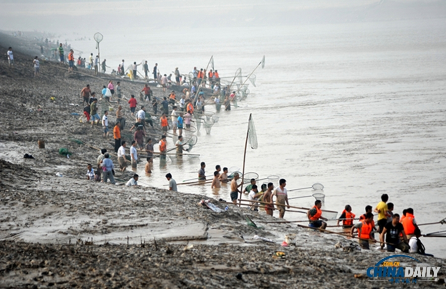 三门峡大坝开闸泄洪 群众冒险捞黄河“流鱼”