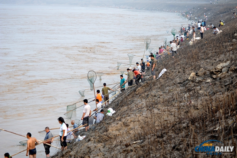 三门峡大坝开闸泄洪 群众冒险捞黄河“流鱼”