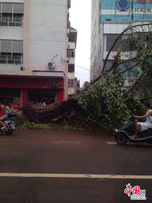 台风过境后的海口:民工房被吹烂 工地吊车欲坠