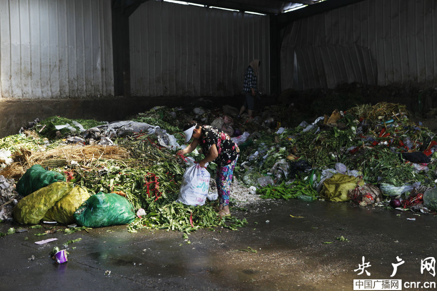西安每日60顿被扔蔬菜遭捡食
