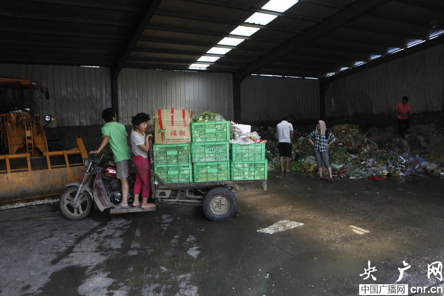西安每日60顿被扔蔬菜遭捡食