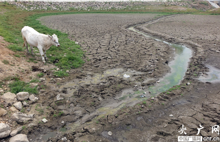 河南大旱多地供水告急 村民抓阄排号取水