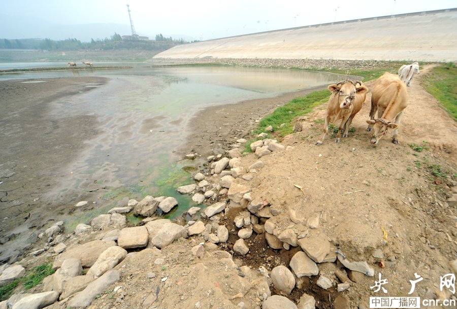 河南大旱多地供水告急 村民抓阄排号取水