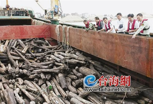 福州海关破获特大红木走私案 案值7000多万
