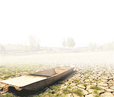 河南全省受旱面积2583万亩 旱区农民含泪铲除绝收玉米