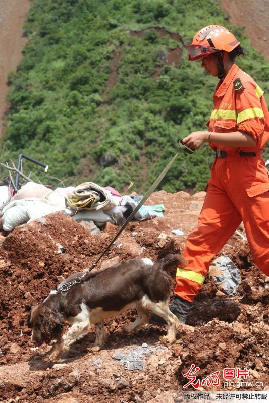 地震救援队女兵喂犬喝水 温馨瞬间