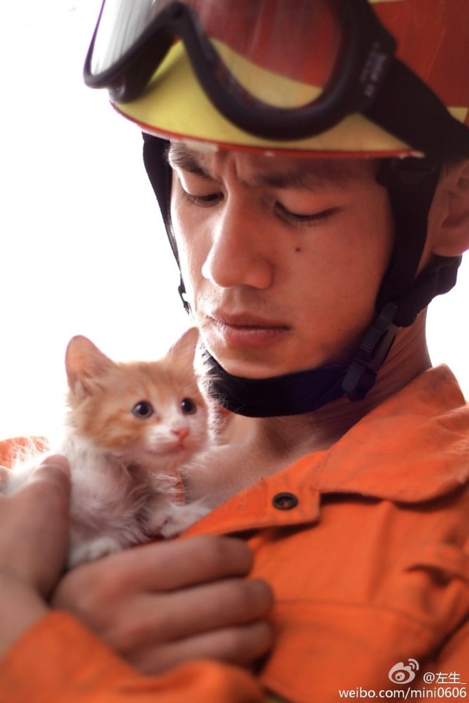 “萌猫硬汉”组合：消防员爬树救猫照暖人心