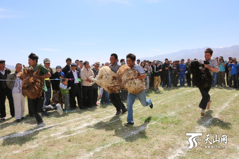 新疆举办“抱羊赛跑”大会