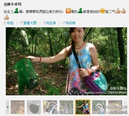 广东女子在公园放生五步蛇眼镜蛇等多条毒蛇