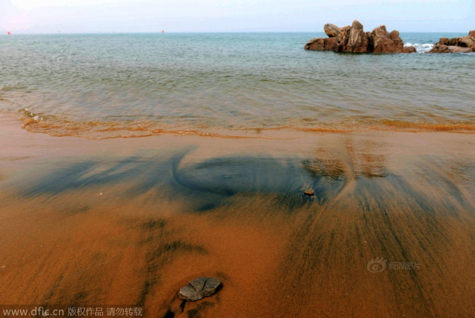 山东青岛：海岸沙滩再现不明黑沙
