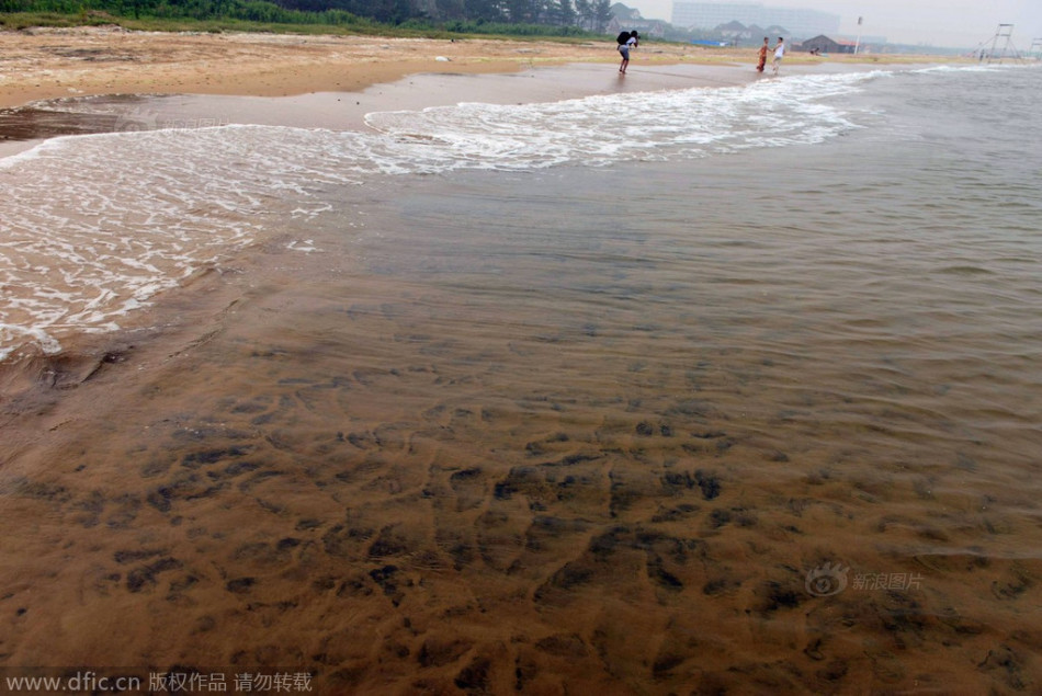山东青岛：海岸沙滩再现不明黑沙