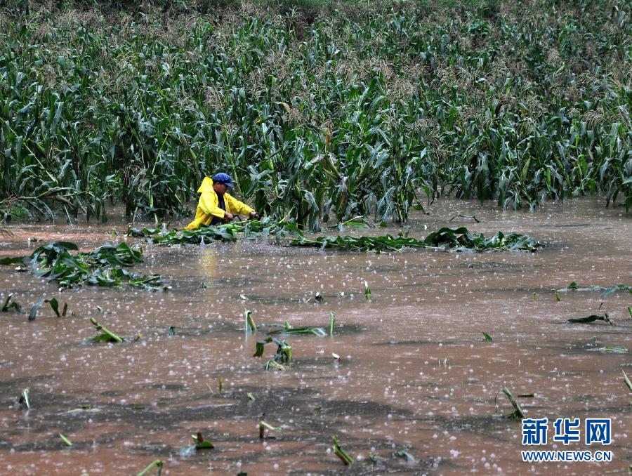 贵州多地遭受暴雨洪涝灾害 车辆房屋被淹没