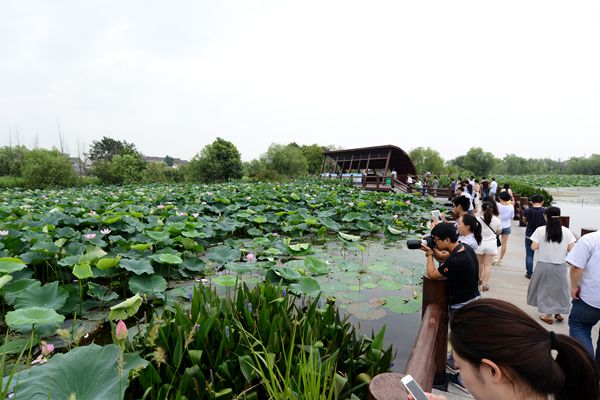 “美丽浙江美好生活”全国网络媒体记者走近长兴图影生态湿地文化园