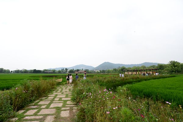 “美丽浙江美好生活”全国网络媒体记者走近长兴图影生态湿地文化园