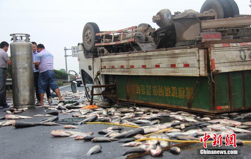 沪昆高速一货车仰翻 1吨多鱼货倾倒一地