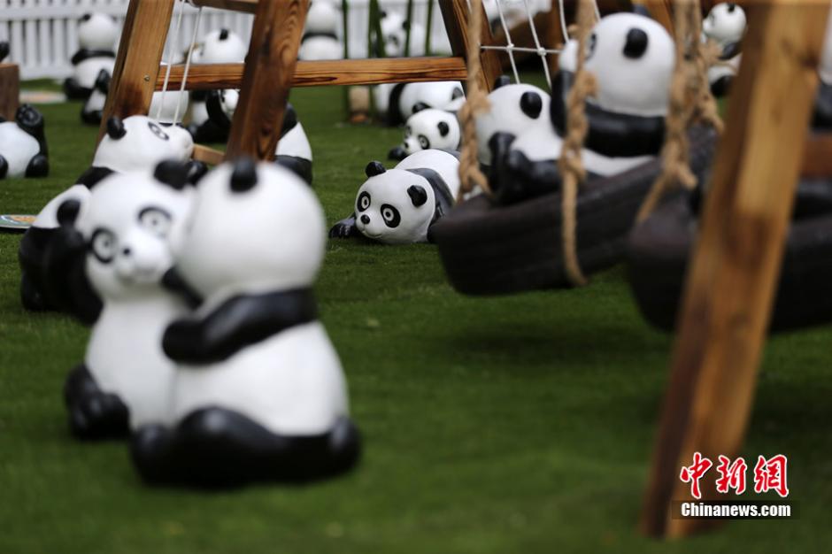 300只“熊猫”空降北京 内地版熊猫呆萌惹人爱