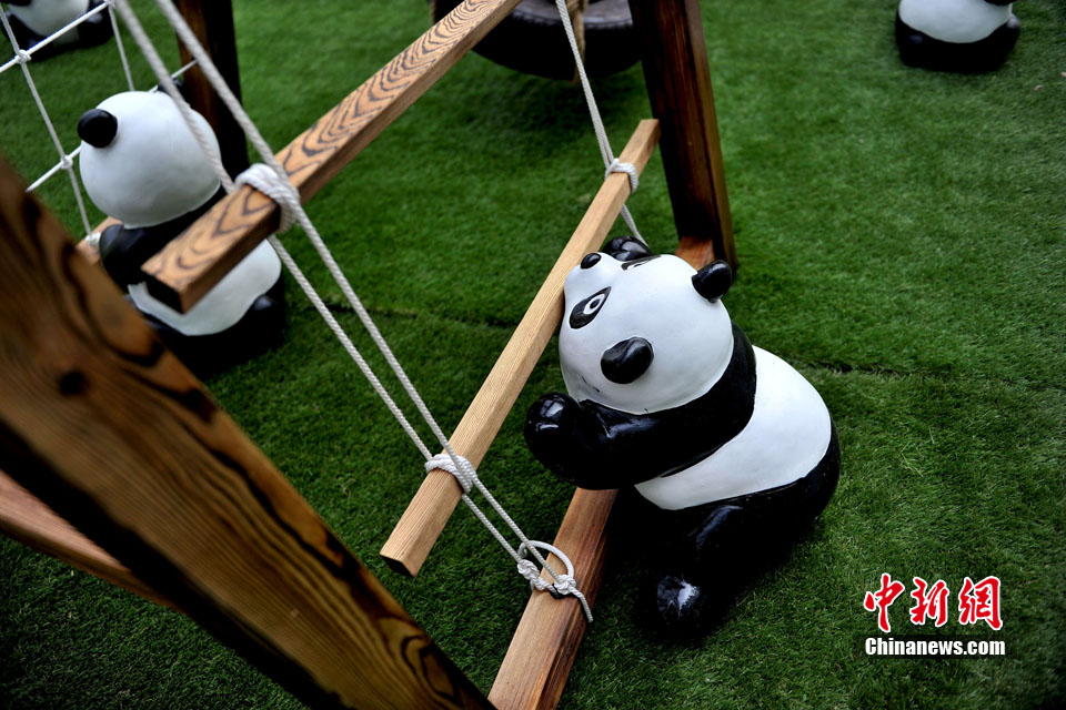 300只“熊猫”空降北京 内地版熊猫呆萌惹人爱