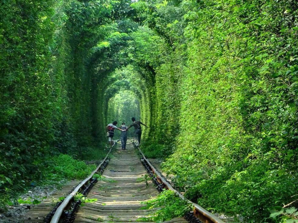 南京现“最清新”铁路　绿植环绕如仙境