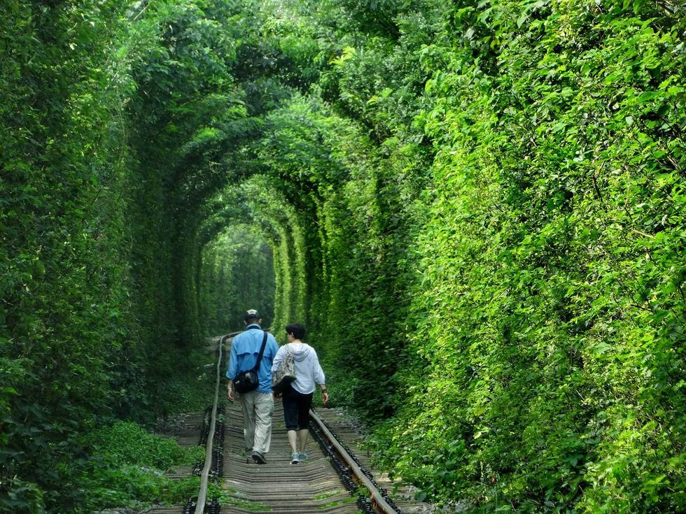 南京现“最清新”铁路　绿植环绕如仙境
