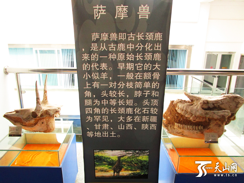 全国旅游网媒新疆行观看第五届中亚·新疆石材博览会开幕展