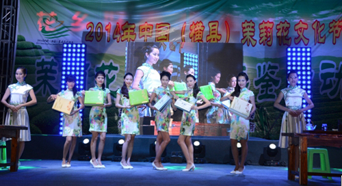 广西横县举办茉莉花文化节（组图）