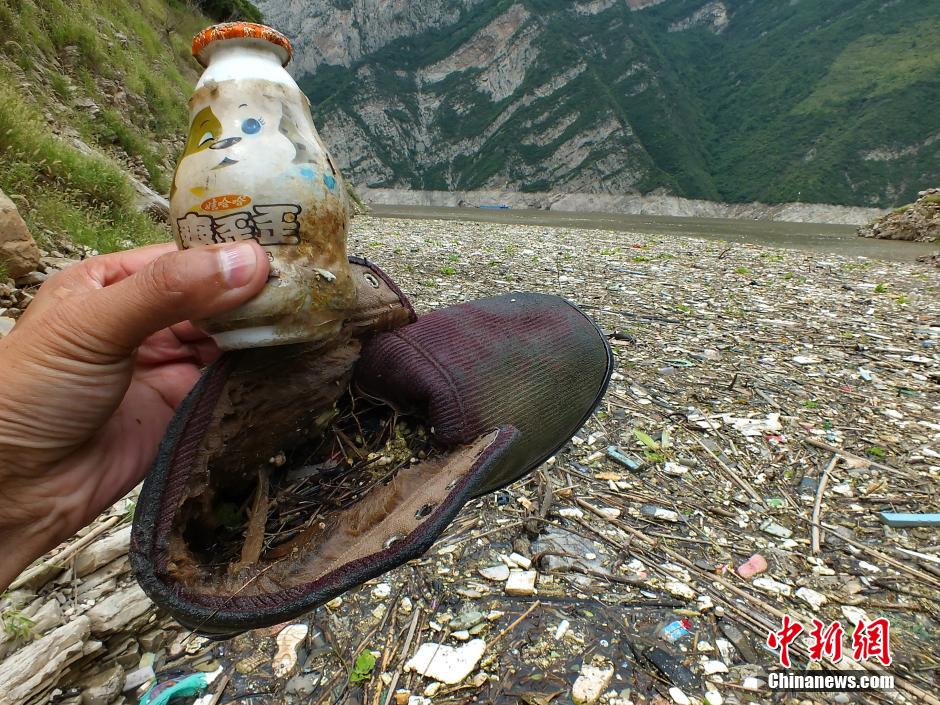 湖北长江三峡水库部分水湾漂浮垃圾聚集