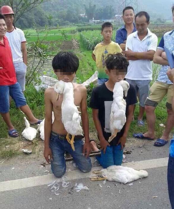 广西两少年偷鸭被抓 村民逼其嘴叼死鸭下跪