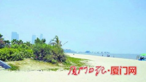 厦门环岛路三不管绿化带垃圾遍地 成