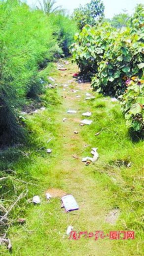 厦门环岛路三不管绿化带垃圾遍地 成