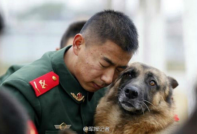 退伍老兵与他的军犬：带不走的战友，褪不去的战友情