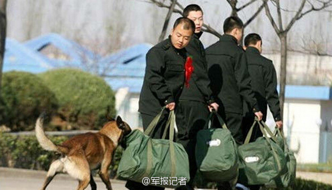 退伍老兵与他的军犬：带不走的战友，褪不去的战友情