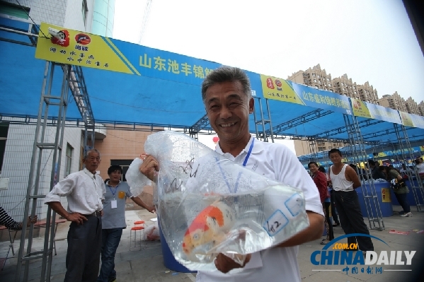 高唐举办2014中国（高唐）“海豚杯”锦鲤大赛