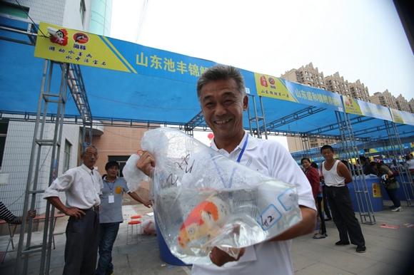高唐举办2014中国（高唐）“海豚杯”锦鲤大赛