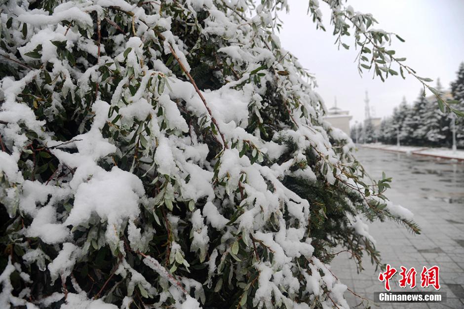 四川红原大草原迎来今年入秋第一场雪