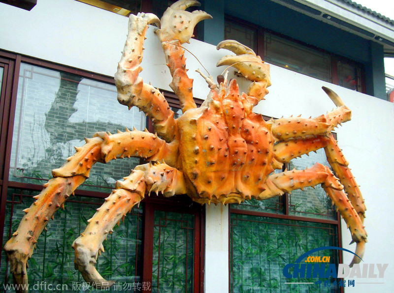 巨型螃蟹亮相苏州街头 霸气侧漏引围观