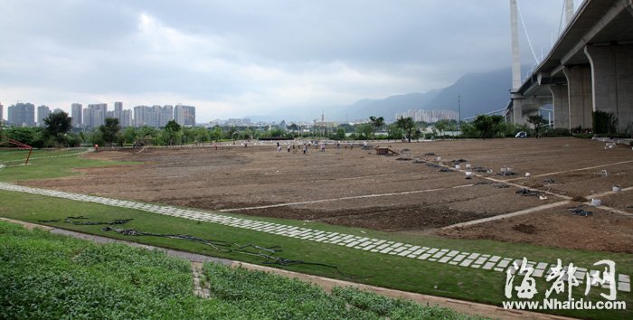 花海公园配套设施缺乏 市民期待人性化