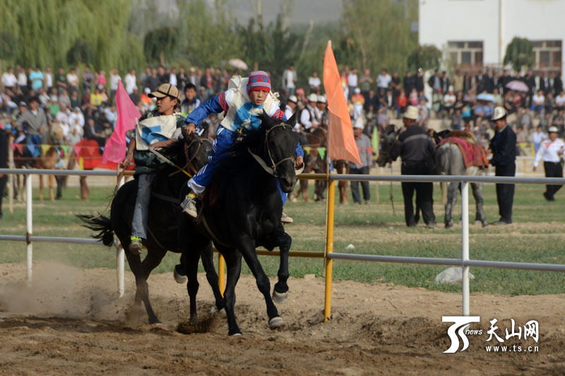新疆克州赛马盛会：让速度与激情碰撞