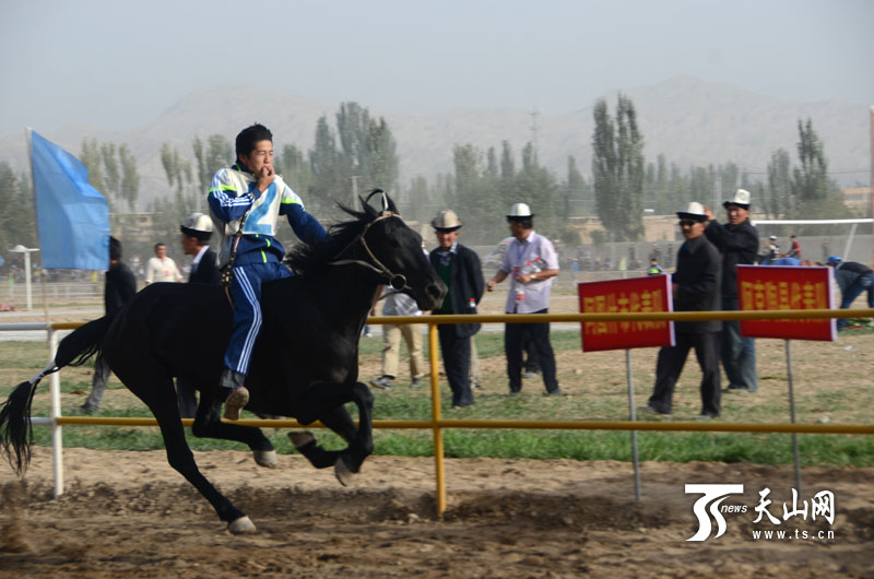 新疆克州赛马盛会：让速度与激情碰撞