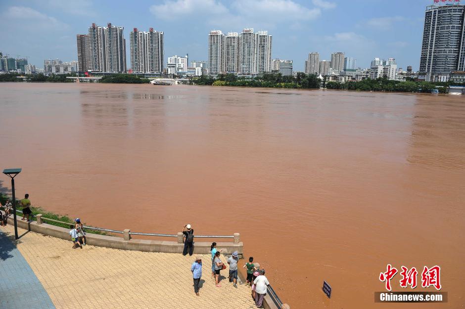 南宁邕江迎洪峰公园被淹 市民水中淡定钓鱼