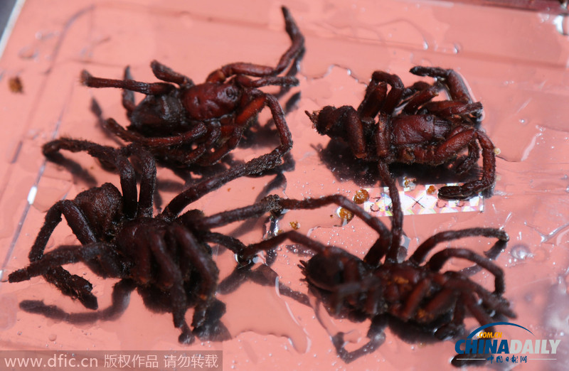 河南举办美食嘉年华 高价“昆虫宴”蜘蛛蝎子引围观