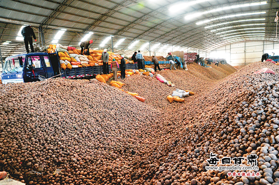 甘肃定西：八大措施转型升级马铃薯产业，力争成为全国引领航标