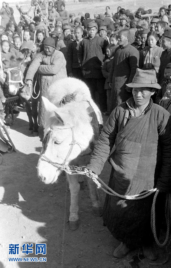 新中国成就档案：基本完成新解放区土地制度的改革