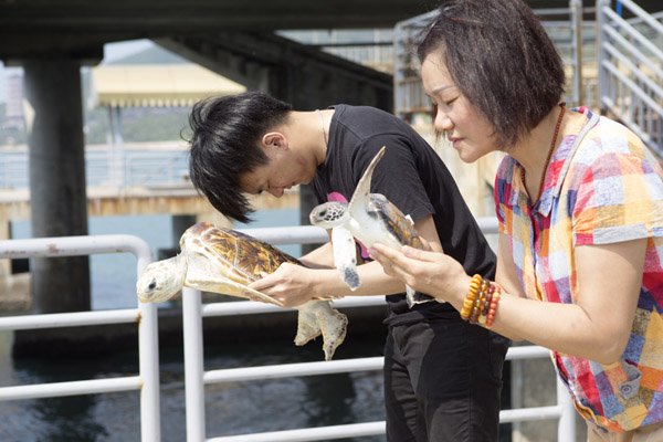 三亚放生海龟最高价5万元 景区被指抓放生龟再卖