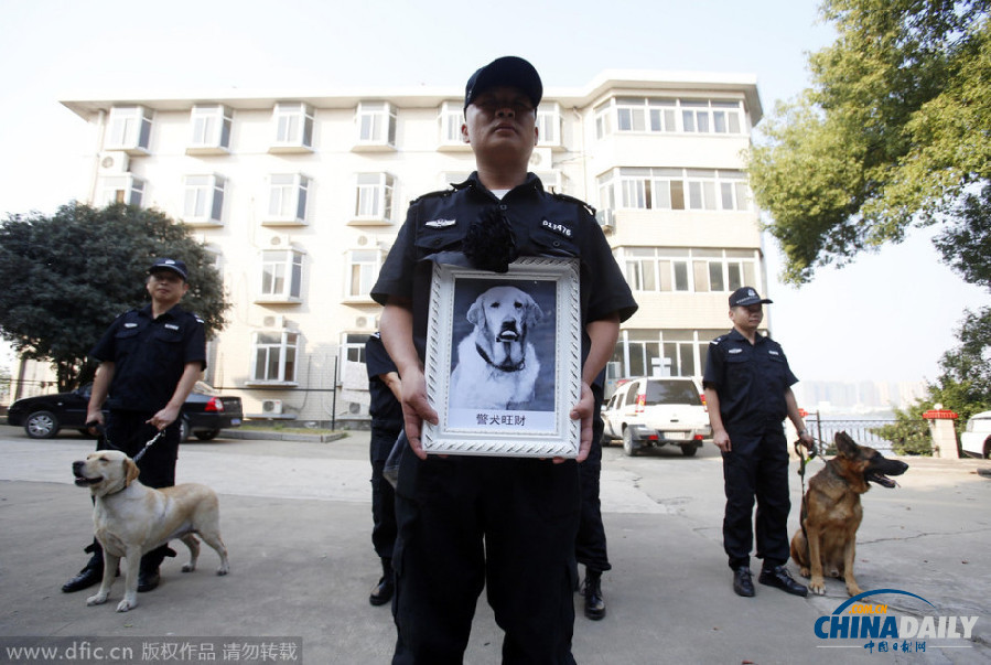武汉警员为功勋警犬举行葬礼