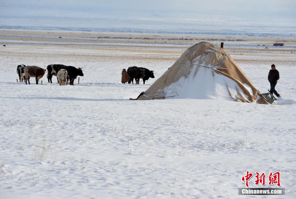 暴雪袭新疆东部巴里坤 雪后初晴现美景