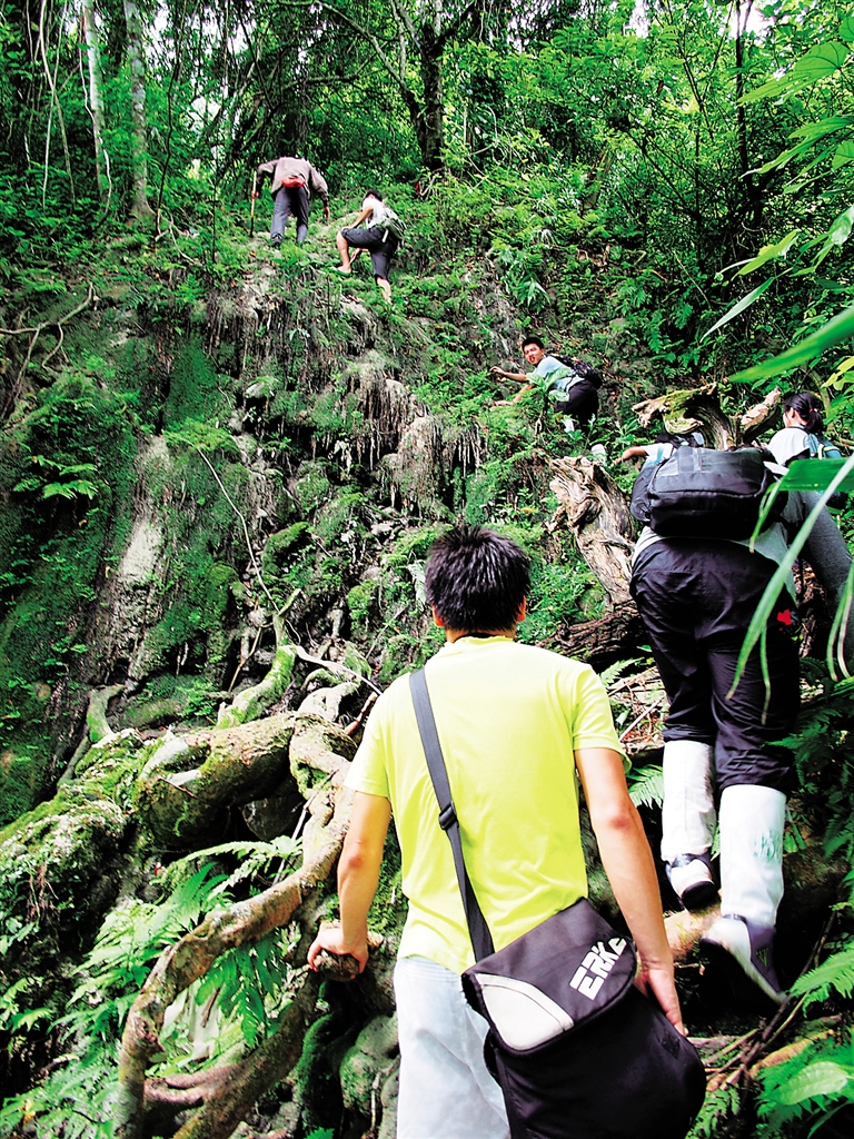 海南岛俄贤岭蝙蝠洞：喀斯特地下秘境