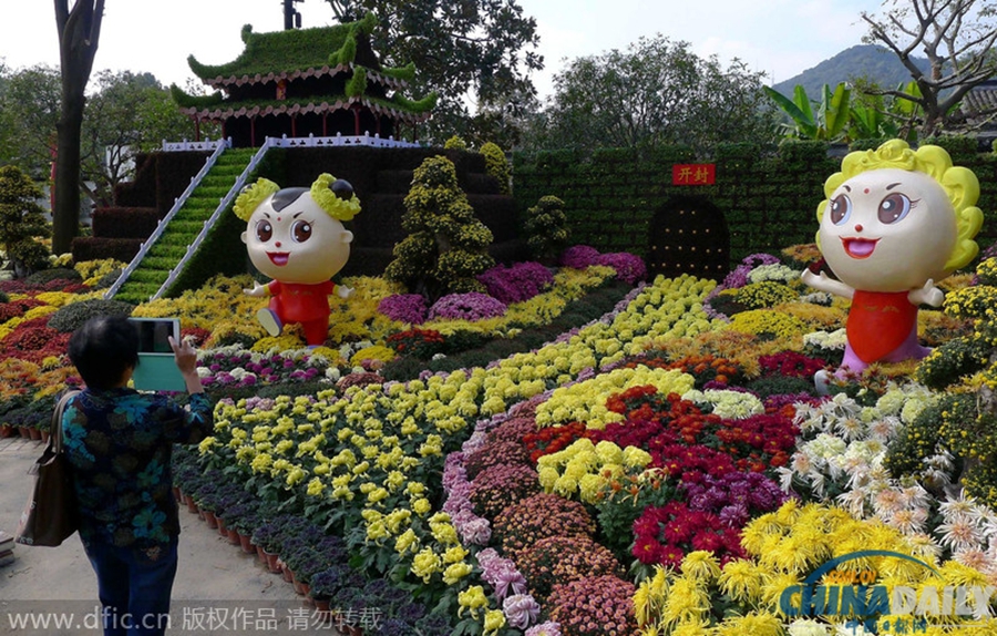 杭州举行“两宋”菊花艺术节 游客醉倒花海